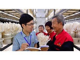 古田县工厂化海鲜菇成为脱贫新引擎